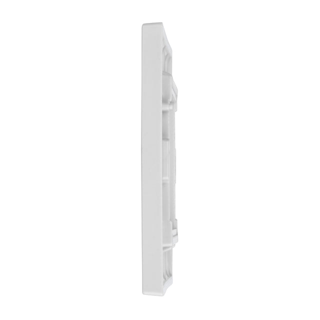 2G Modular Faceplate (2 Modules)