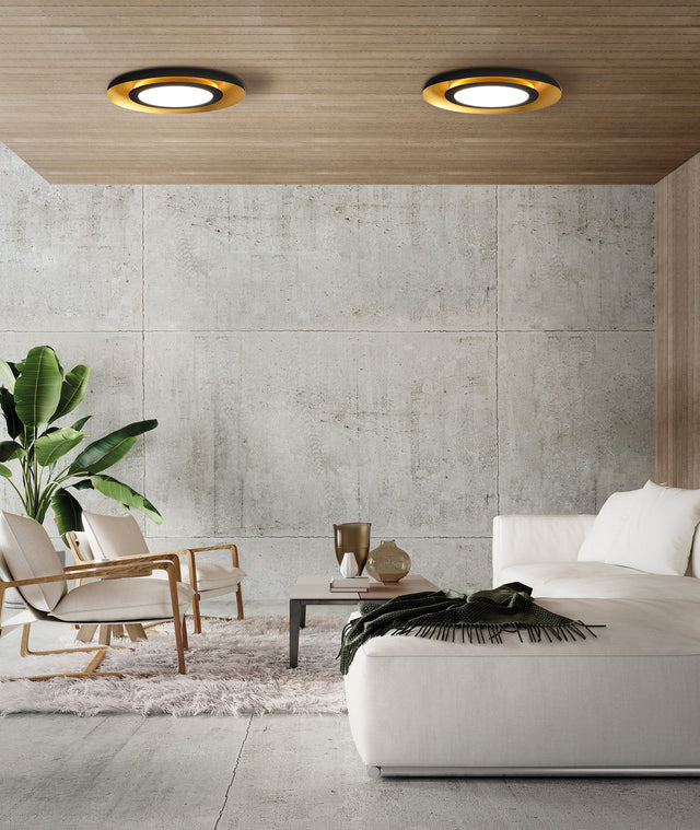 Shiitake Ceiling lamp