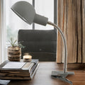 Grey Carrig Clip On Single Spot Light