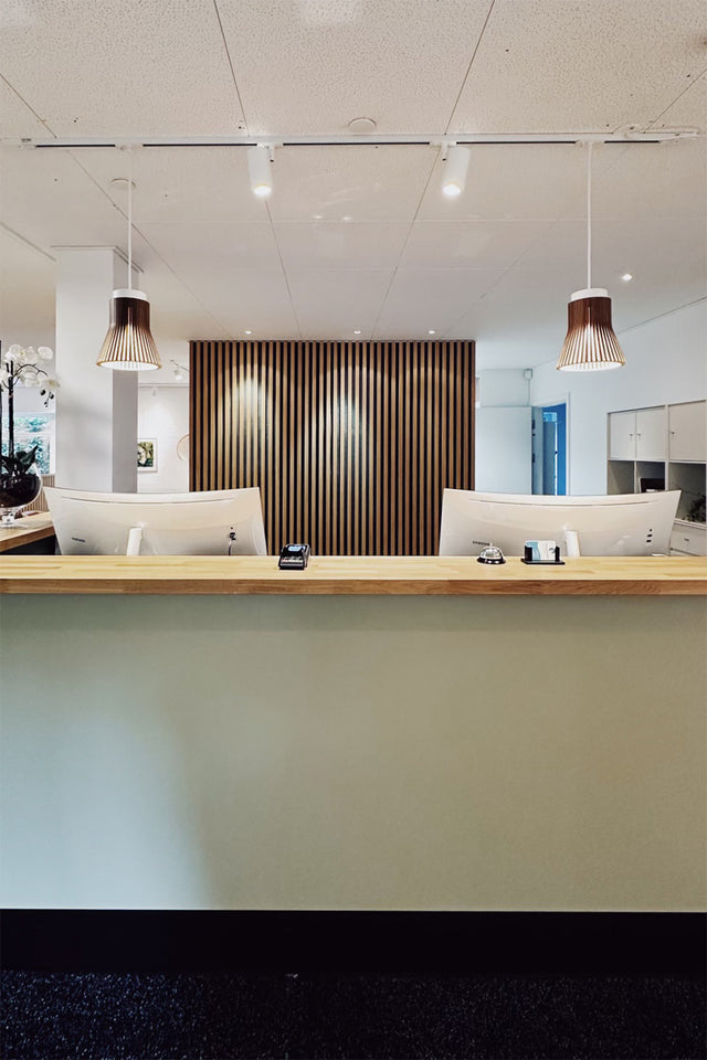 Petite Pendant lamp