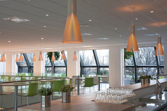 Secto Pendant lamp