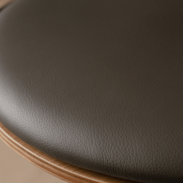 Curious | dining chair