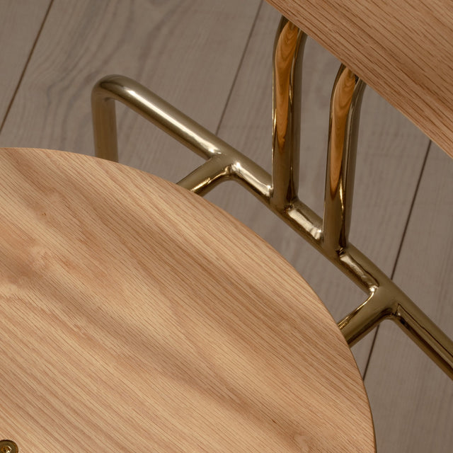 Curious | dining chair