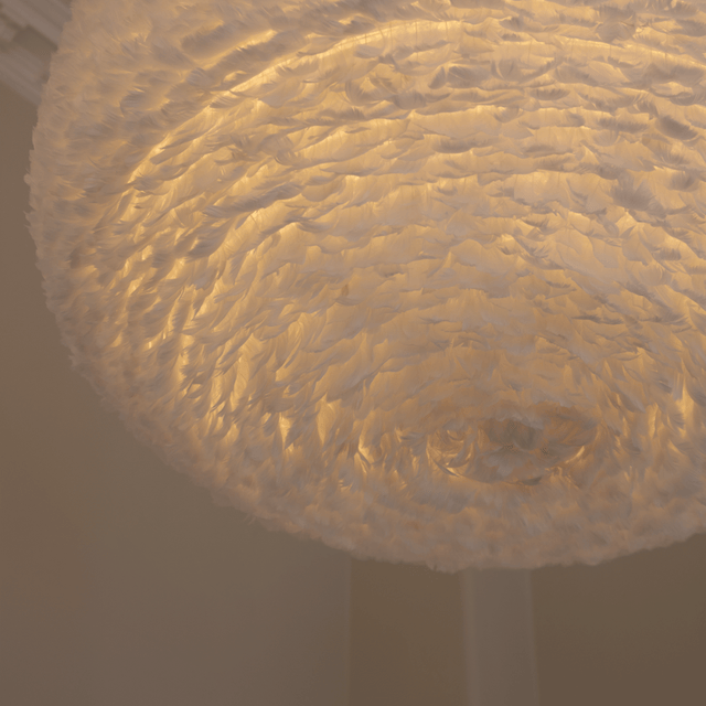 Cover Eos | accessory