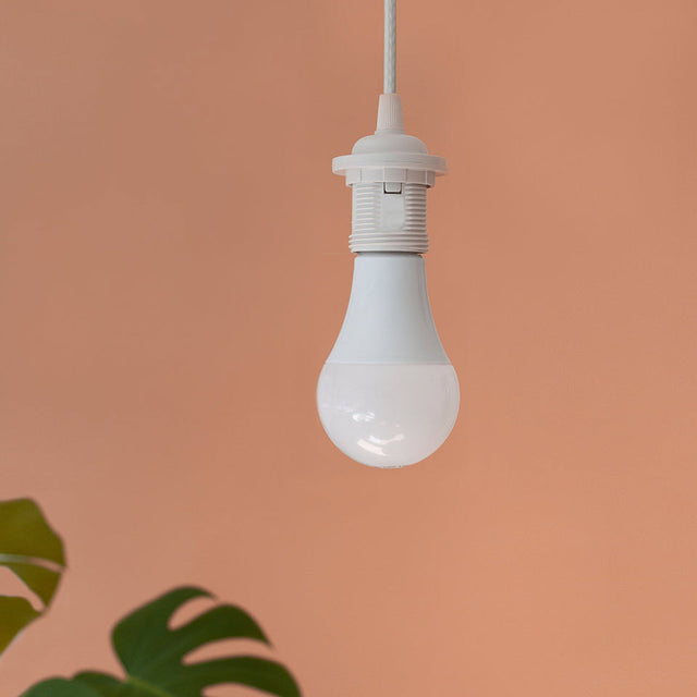 Bright Idea | bulb