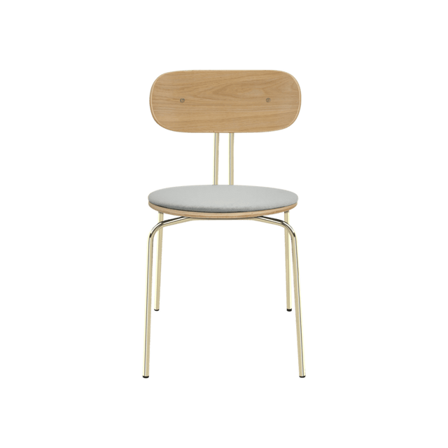 Curious | dining chair