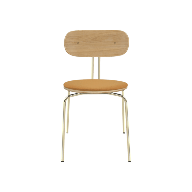 Curious | dining chair