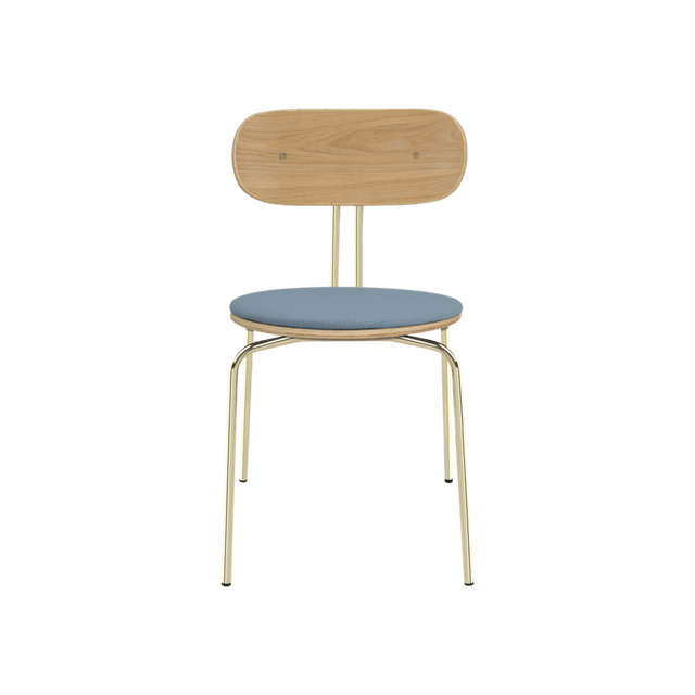 Curious | dining chair