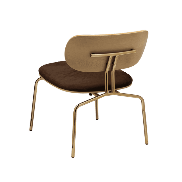 Curious | lounge chair