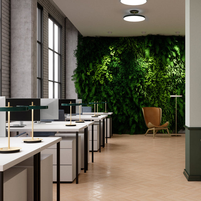 Asteria | table lamp