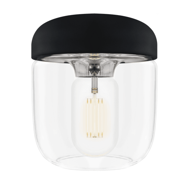 Acorn | pendant lampshade