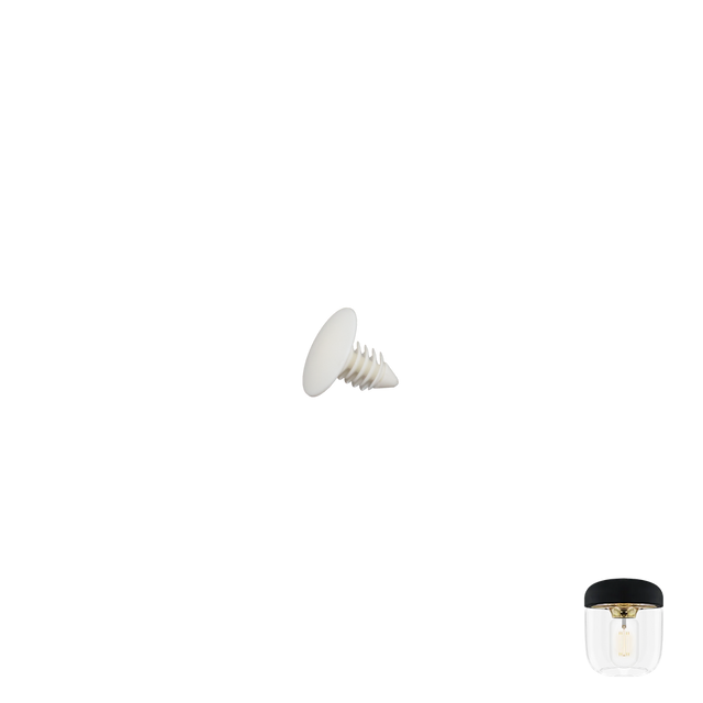 Screw | spare part for Acorn