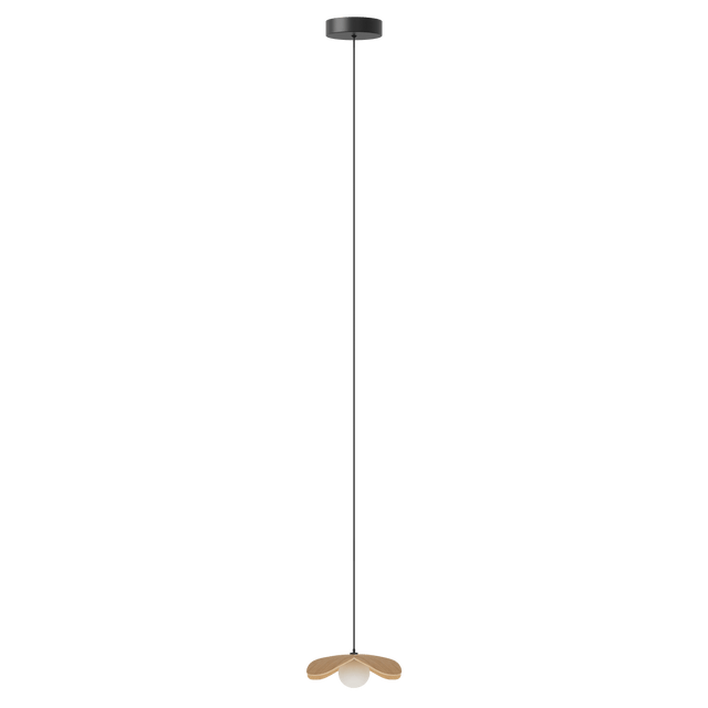 Forget Me Not bundle | pendant lampshade
