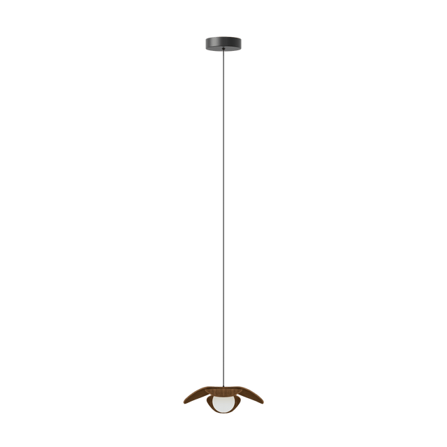 Forget Me Not bundle | pendant lampshade