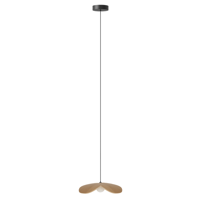 Forget Me Not bundle | pendant lampshade