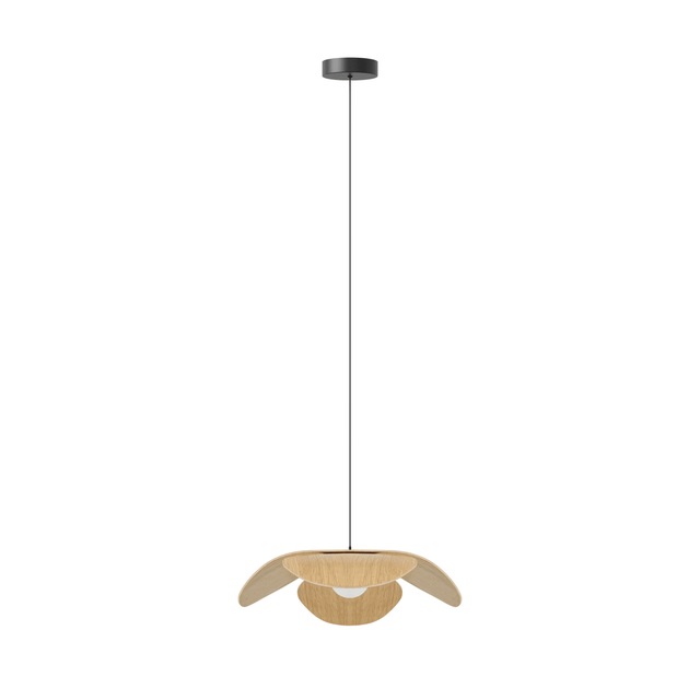 Forget Me Not bundle | pendant lampshade