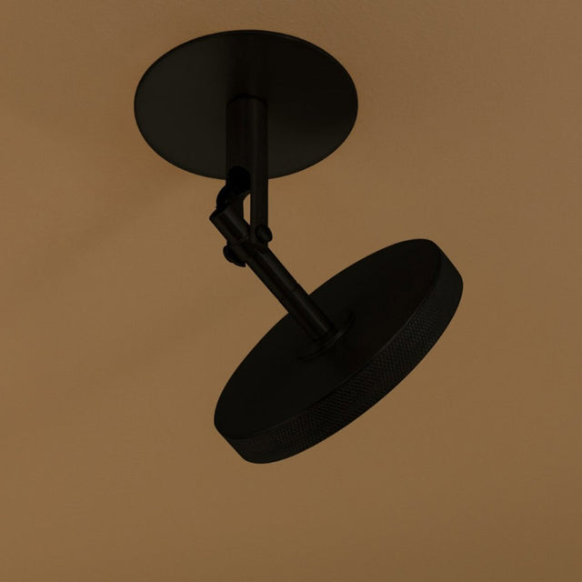 Asteria Spot | wall/ceiling lamp