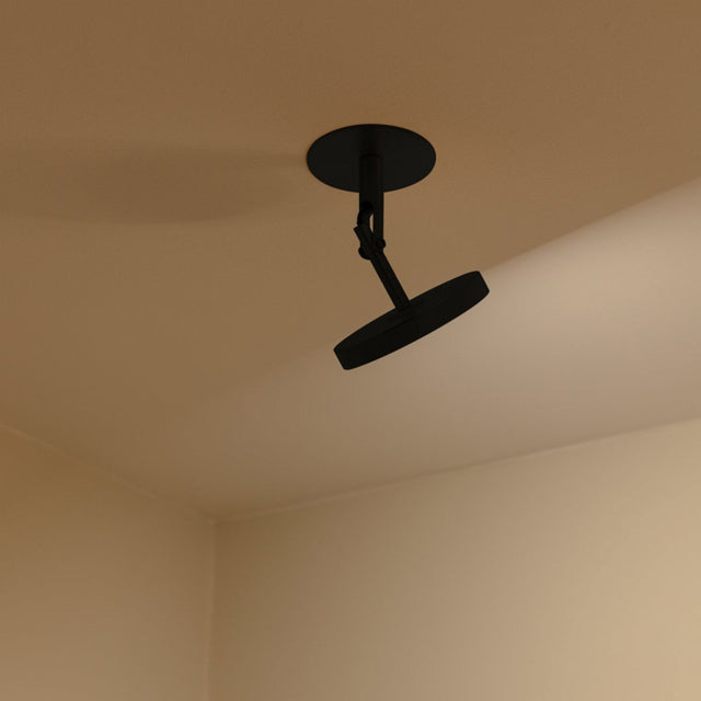 Asteria Spot | wall/ceiling lamp