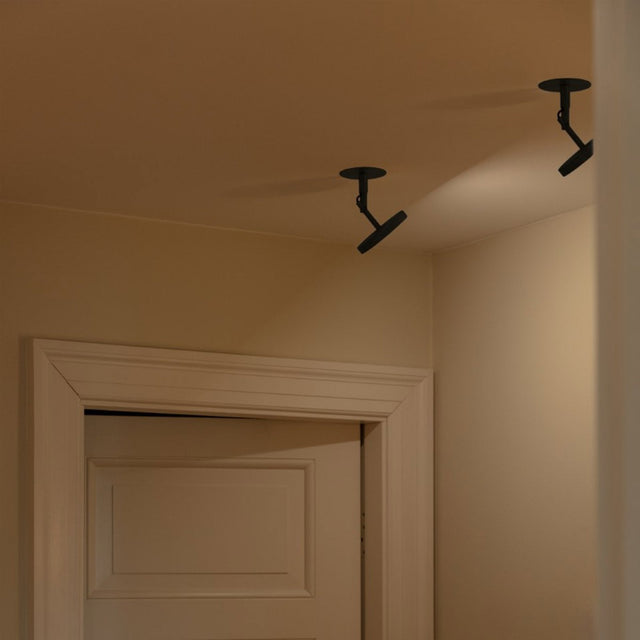 Asteria Spot | wall/ceiling lamp