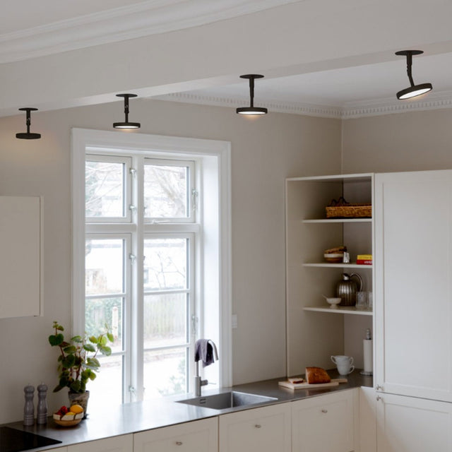 Asteria Spot | wall/ceiling lamp