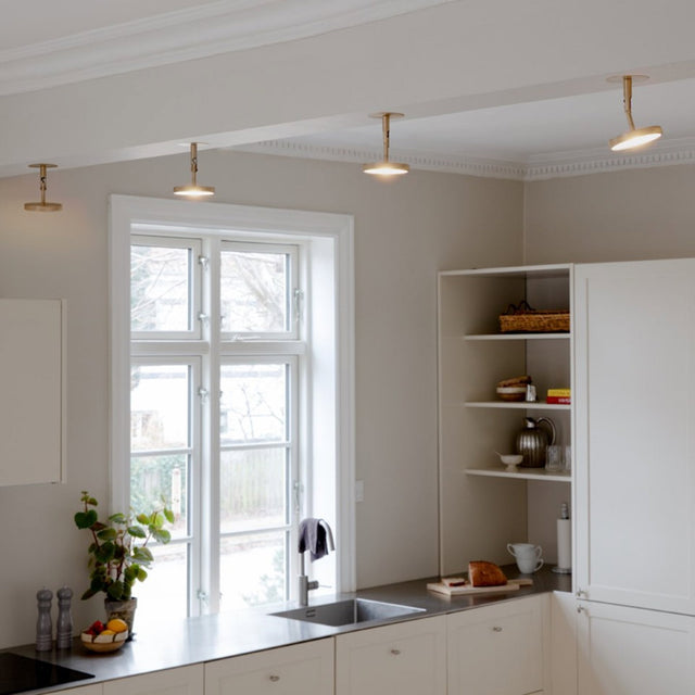 Asteria Spot | wall/ceiling lamp