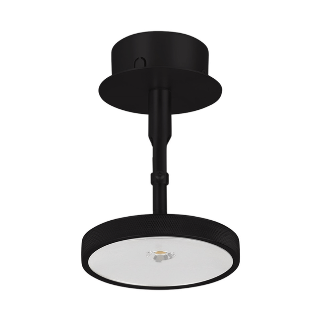 Asteria Spot | wall/ceiling lamp