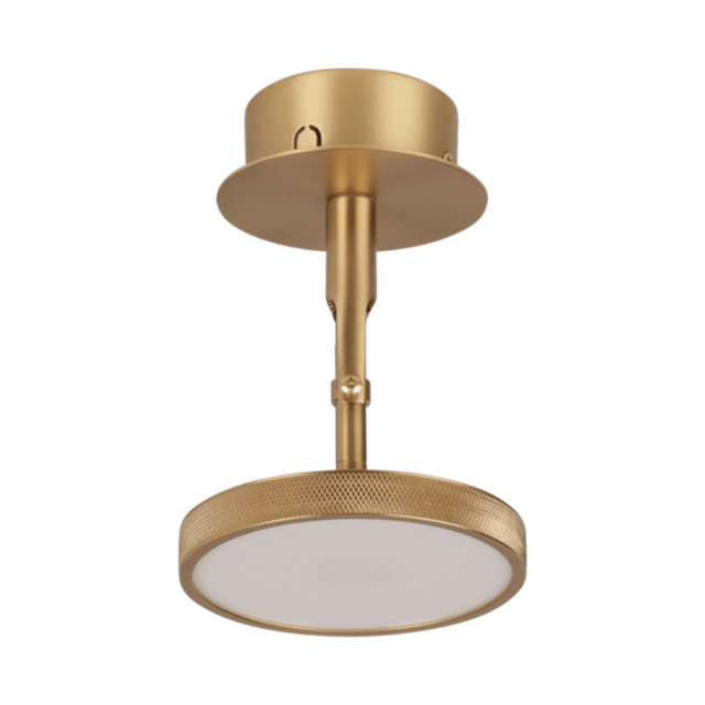 Asteria Spot | wall/ceiling lamp