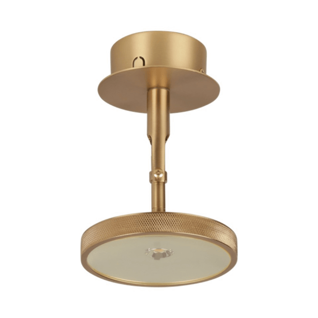 Asteria Spot | wall/ceiling lamp