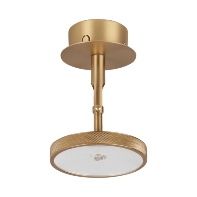 Asteria Spot | wall/ceiling lamp