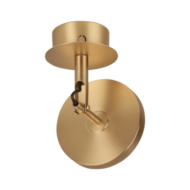 Asteria Spot | wall/ceiling lamp