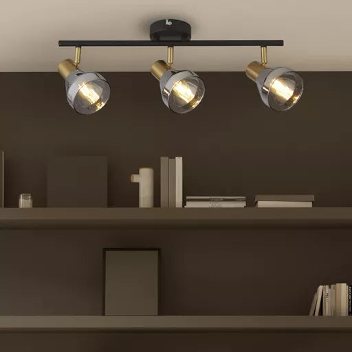 Westminster Spotlight  - Black, Satin Brass Metal & Smoked