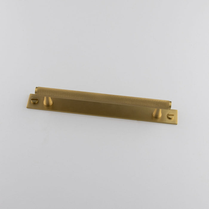 Lincoln Brass Handle with Backplate