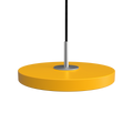 2517C4262