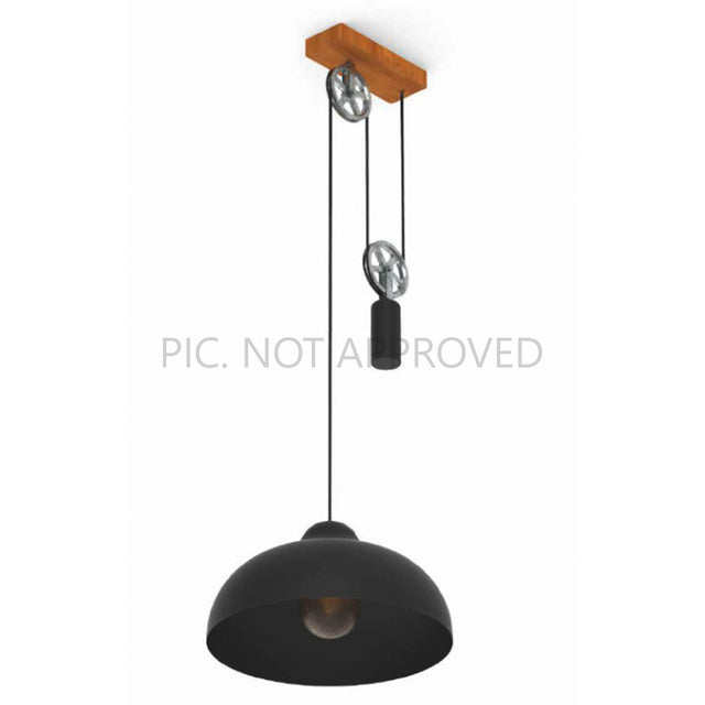 Pendant lamp WINKWORTH 1