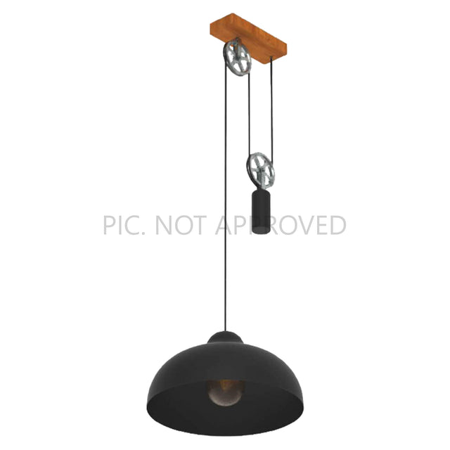 Pendant lamp WINKWORTH 1