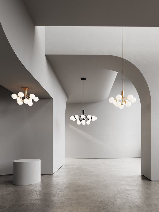 Apiales 9 Ceiling