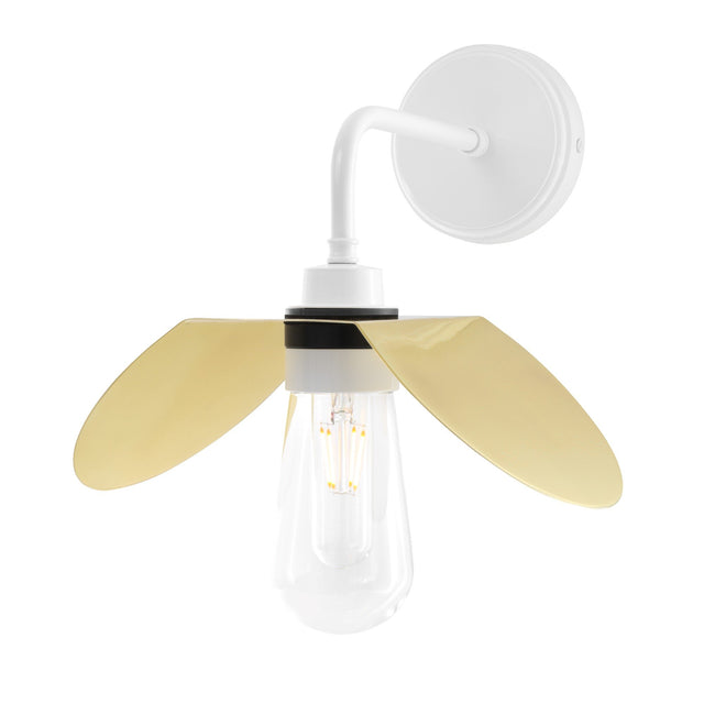 Hali Wall Light