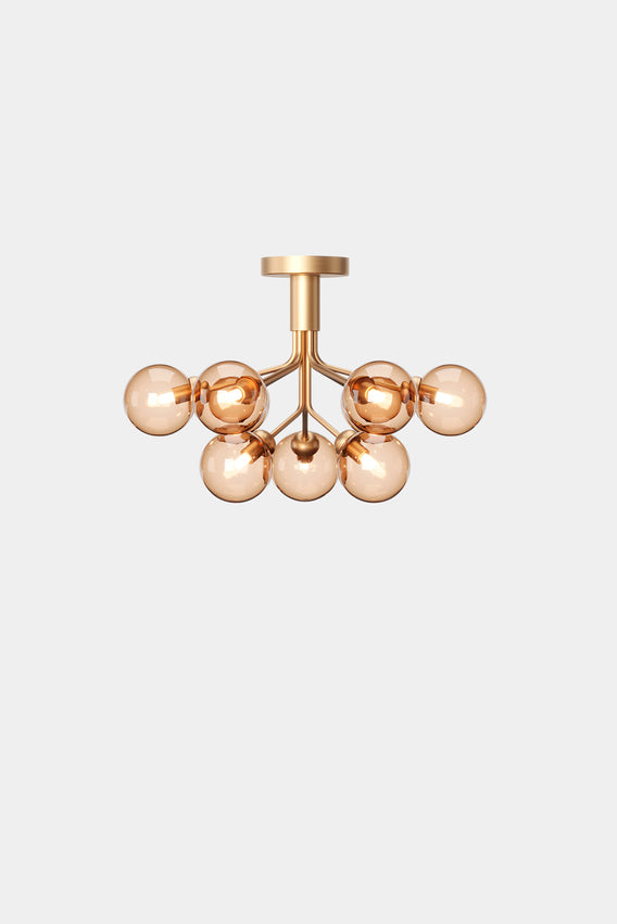 Apiales 9 Ceiling