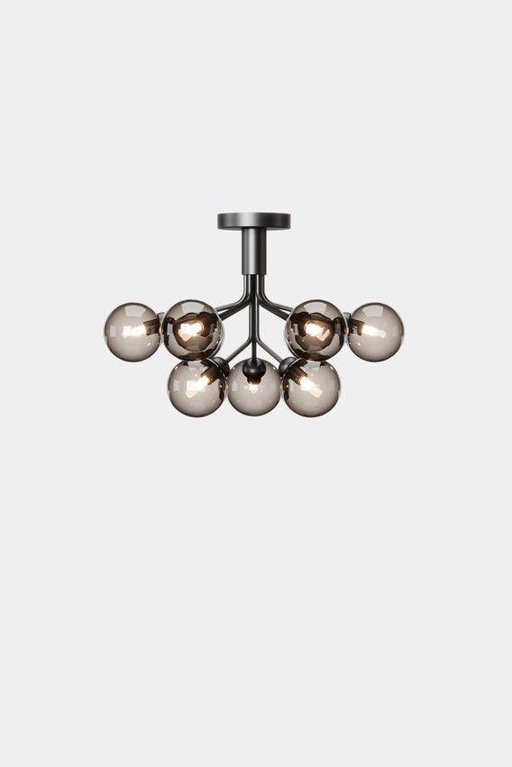 Apiales 9 Ceiling
