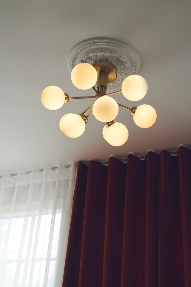 Apiales 9 Ceiling