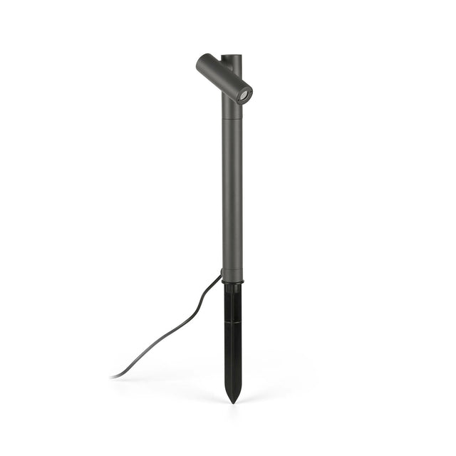 SPY 435 Spike