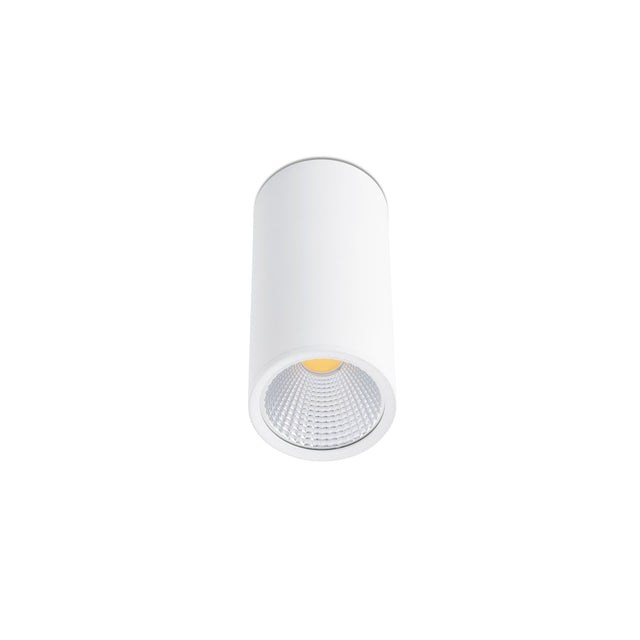 REL CEILING LAMP LED 2700K