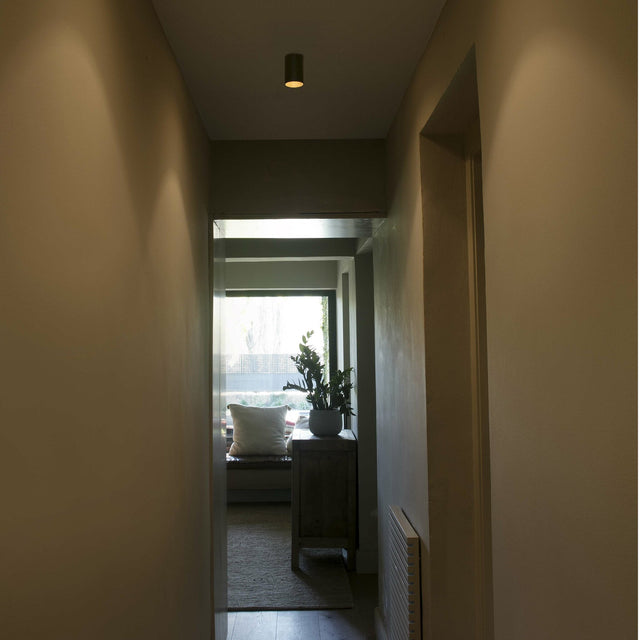 STAN CEILING LAMP 1xGU10